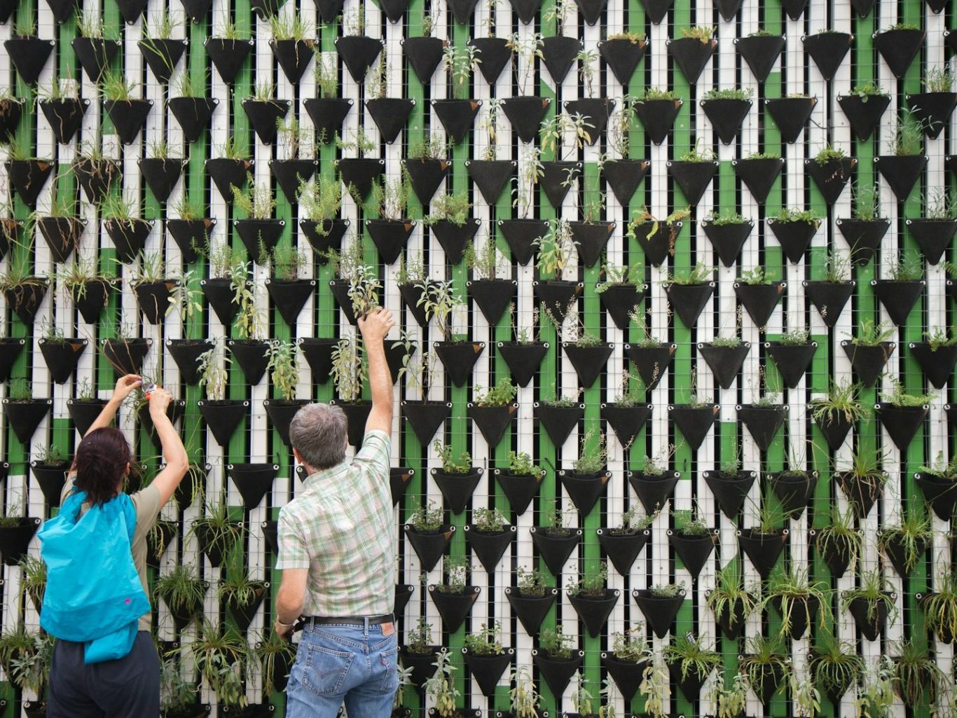 communauté Deux personnes travaillent sur un mur végétal, en plaçant des plantes dans des supports.